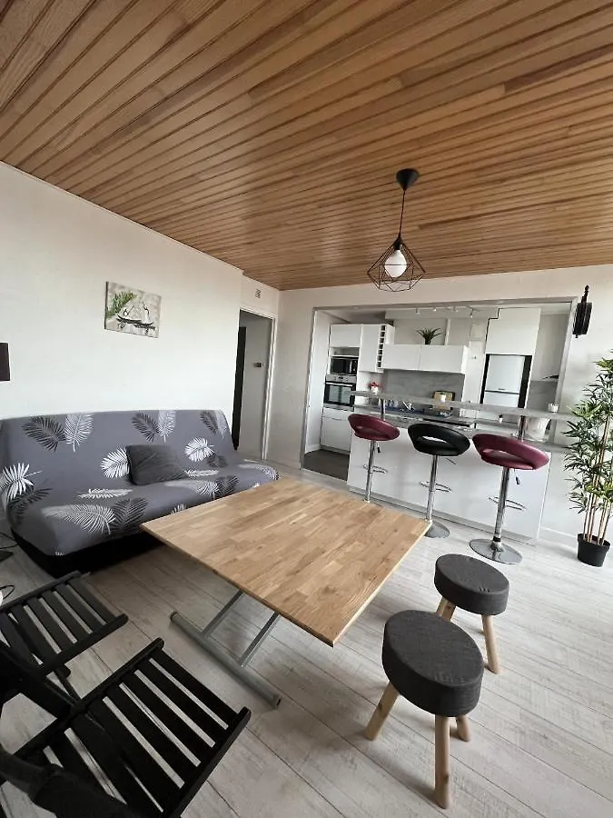 Apartament Le Pont Jumeau - T4 Proche Airbus Tuluza 0*,  Francja